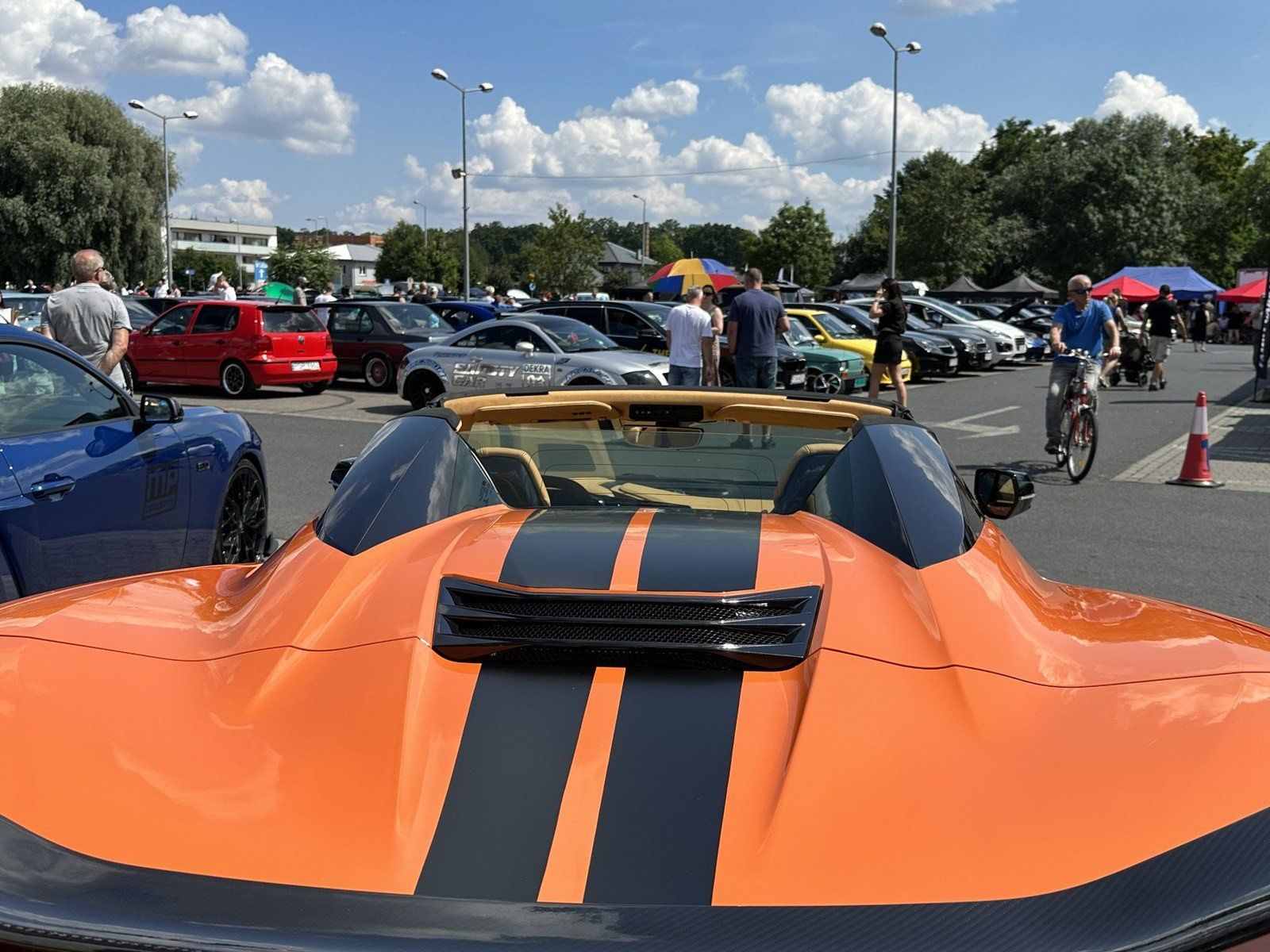 Family Cars - Leszno dla zwierzaków