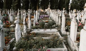 Podnoszą opłaty za groby. Tyle polskie miasto żąda za miejsce
