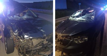 Śmiertelny wypadek na A1. Samochód zderzył się z łosiem