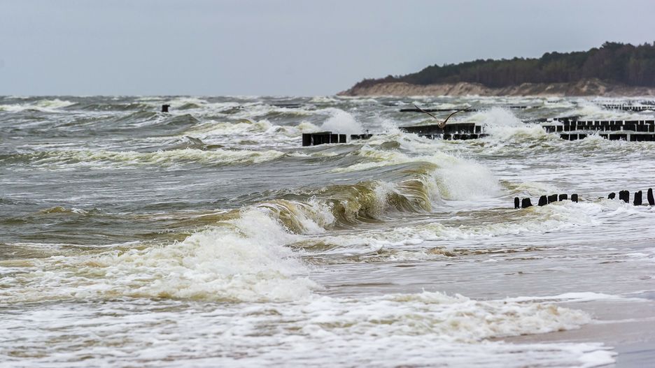 W niedziele synoptycy spodziewają się silnego wiatru. Na Bałtyku możliwy jest sztorm