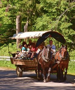 Morskie Oko. Oświadczenie TPN w sprawie transportu konnego. "Zarzuty można rozpatrywać w kategorii pomówień"