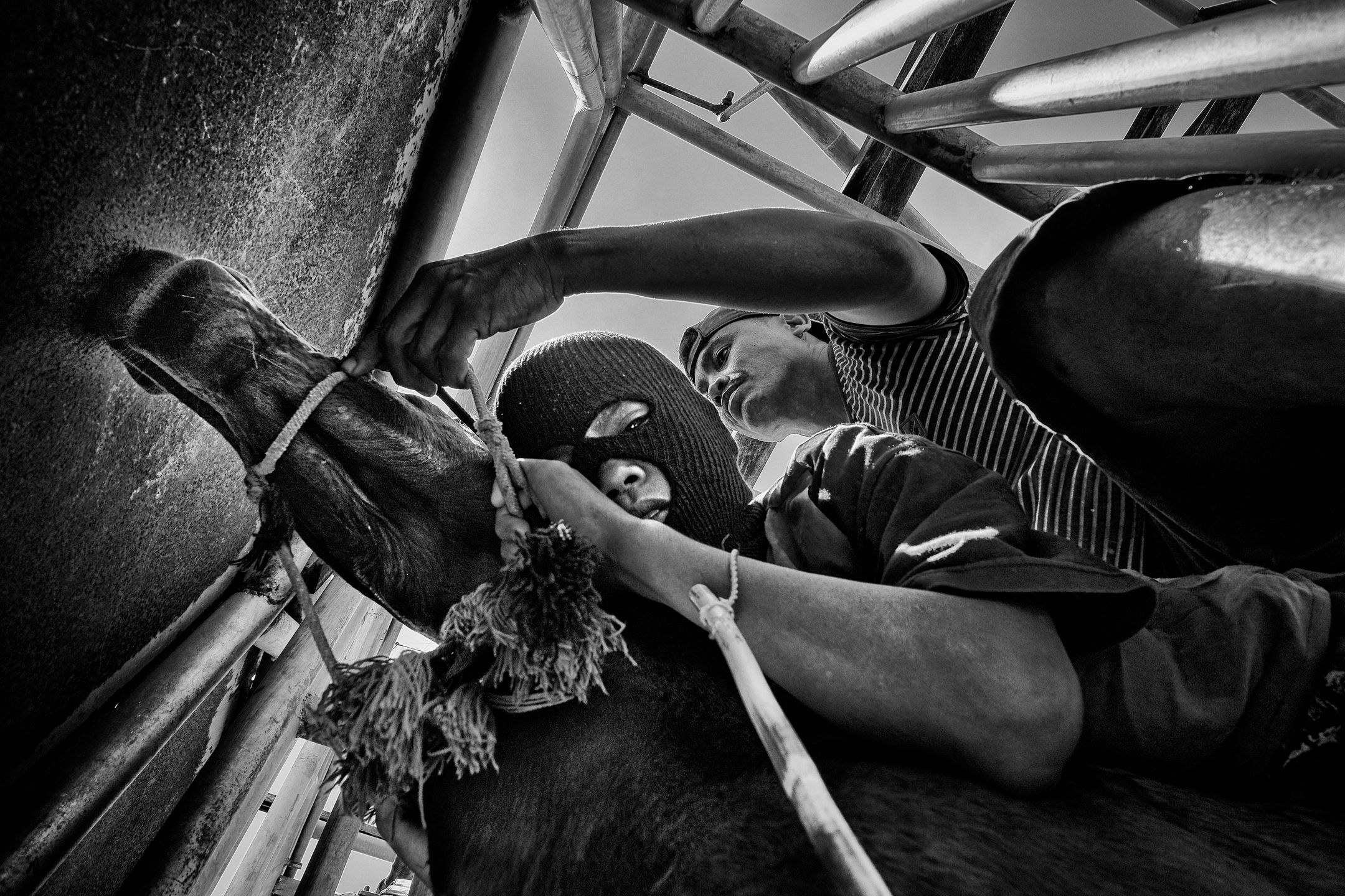 World Press Photo 2018 – znamy nazwiska nominowanych fotografów 117