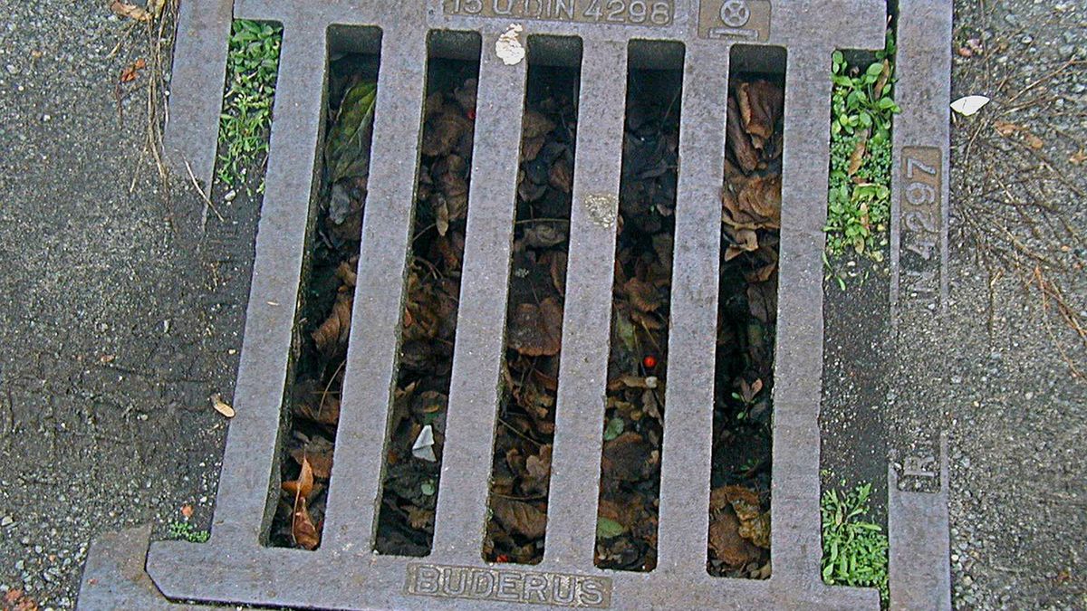 Burmistrz Chojnic zamierza walczyć z lewymi przyłączami kanalizacji