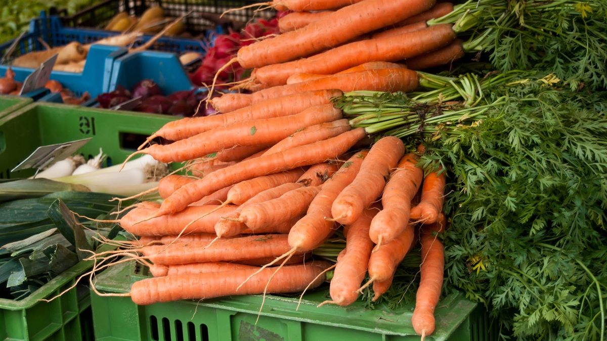 W pierwszej dziesiątce największych dostaw marchwi są np. Niemcy
