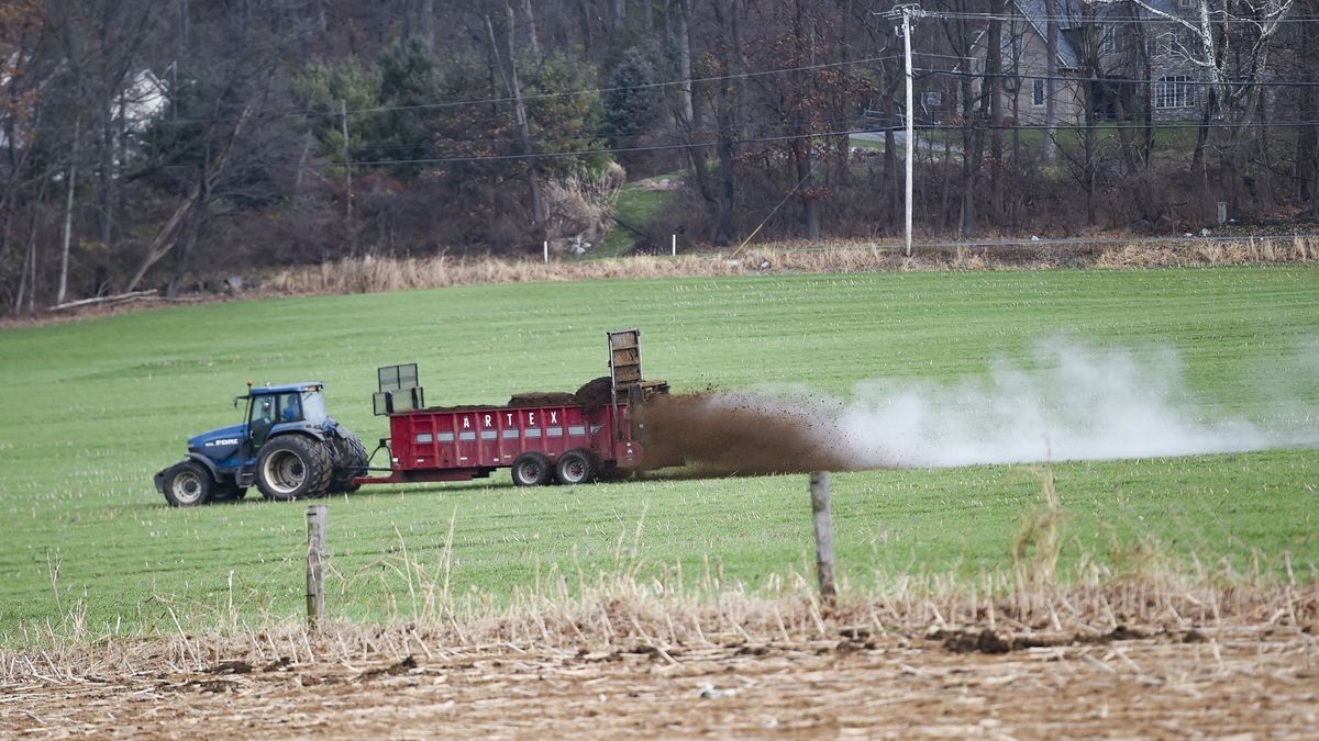 Ukraińscy rolnicy mogą liczyć na wsparcie