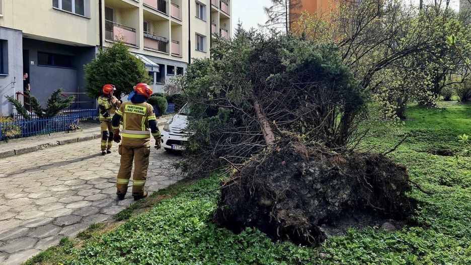 Porwane konary i zniszczone domy po wichurach