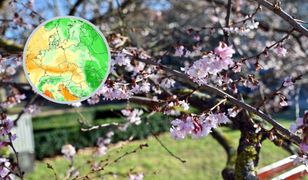 Pogoda dla Polski. Rosyjski wyż zdominuje temperaturę