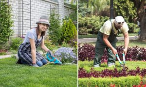 Ile kosztuje ogrodnik w 2026 roku? Stawki za podstawowe prace