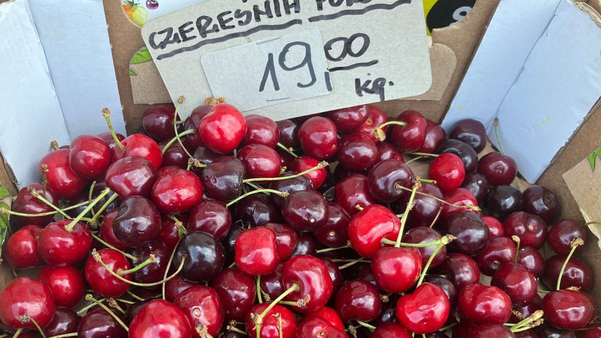 Rozpoczynamy sezon na polskie czereśnie