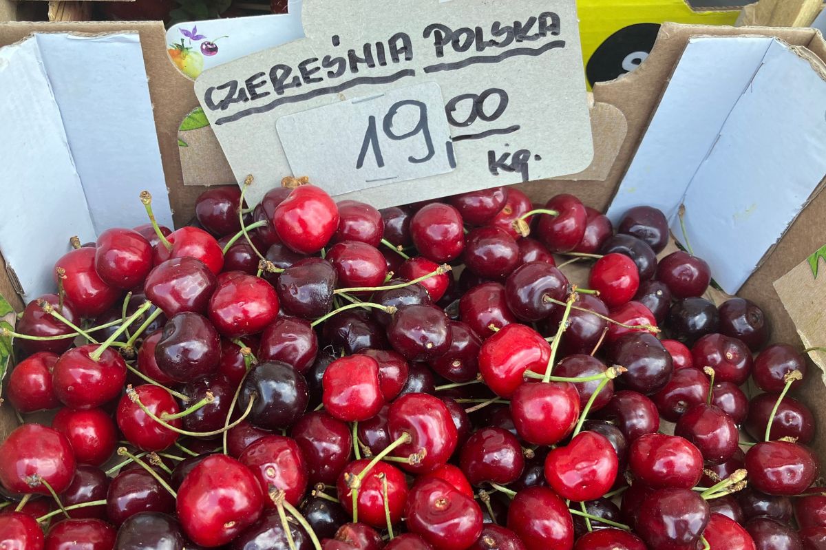 Sadownicy trzymają to w tajemnicy. Tak rozpoznasz robaczywe czereśnie
