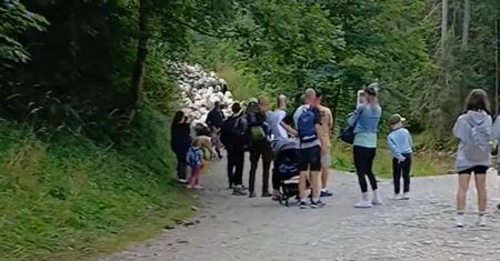 Ludzie nagle się zatrzymali. Poruszenie w Dolinie Kościeliskiej