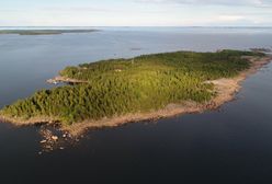 Kawałek Finlandii wystawiony na sprzedaż. Jest sporo zainteresowanych