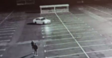 Drift na parkingu. "Młody tylko się uczy"