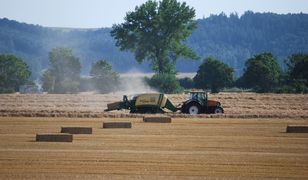 Potężne straty na polach. Rolnicy apelują: ogłoście stan klęski żywiołowej