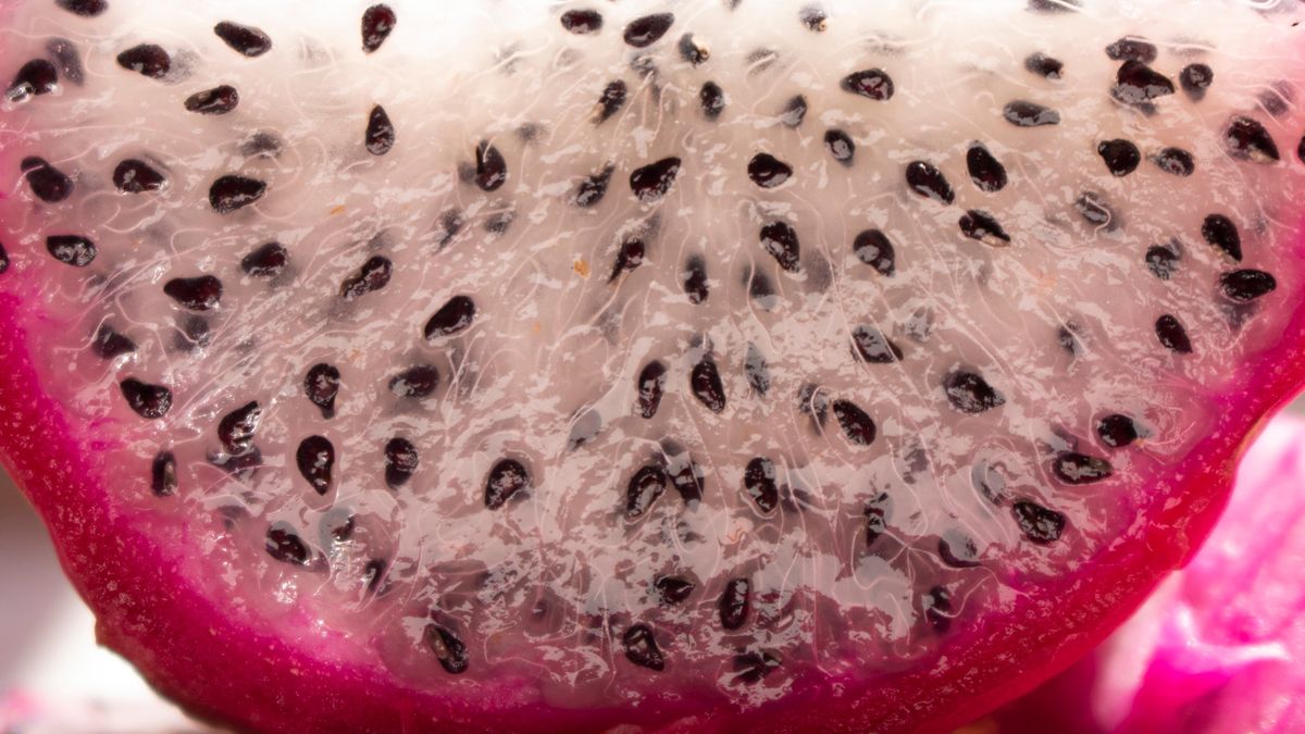 pitahaya, cactus, background, pitaya, food, nature, exotic, isolated, juicy, closeup, nutrition, raw, asian, organic, diet, ripe, fruit, seeds, macro, fruits, slice, art, dessert