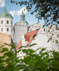 Najwyższa wieża do skoków, największy cmentarz w Polsce i... miasto narodzin Blanki