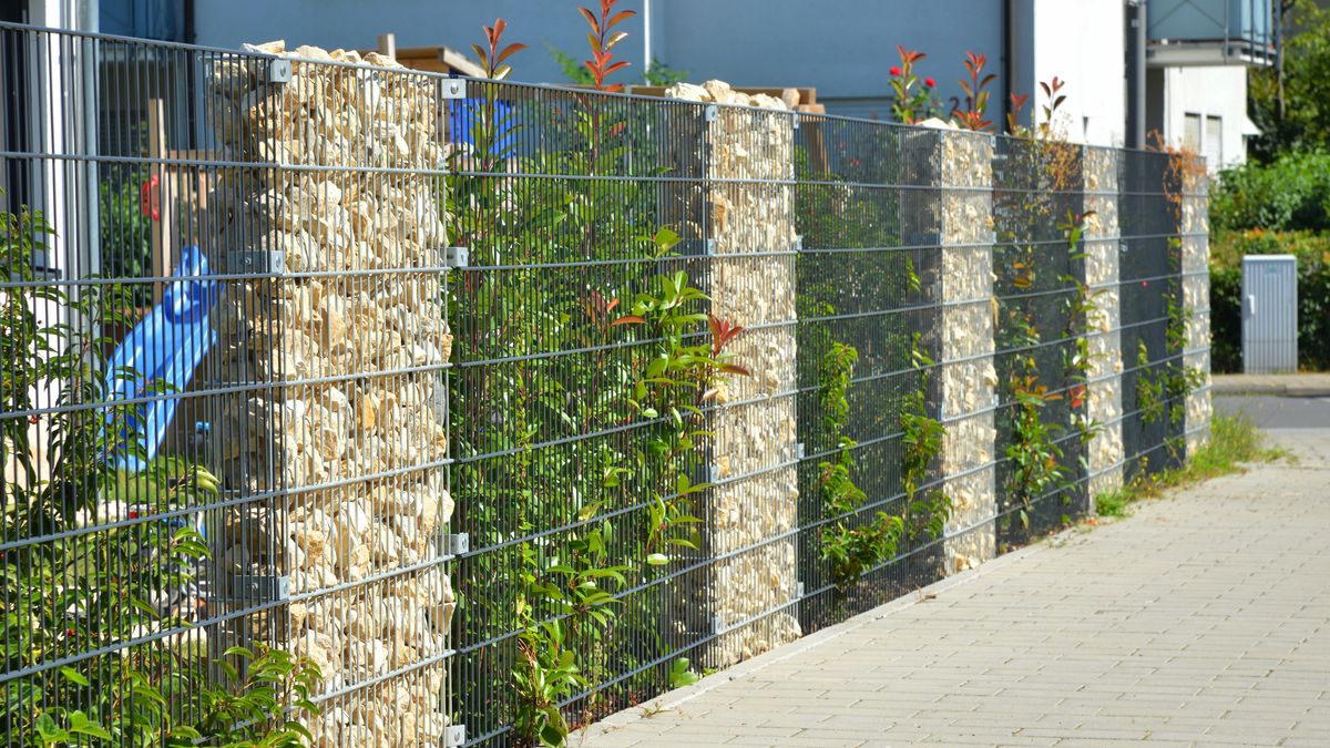 Część z nas dzieli ogrodzenie ze swoim sąsiadem