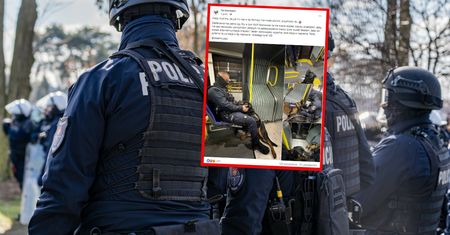 Policjanci z psami w miejskim autobusie. "Nie było radiowozów"