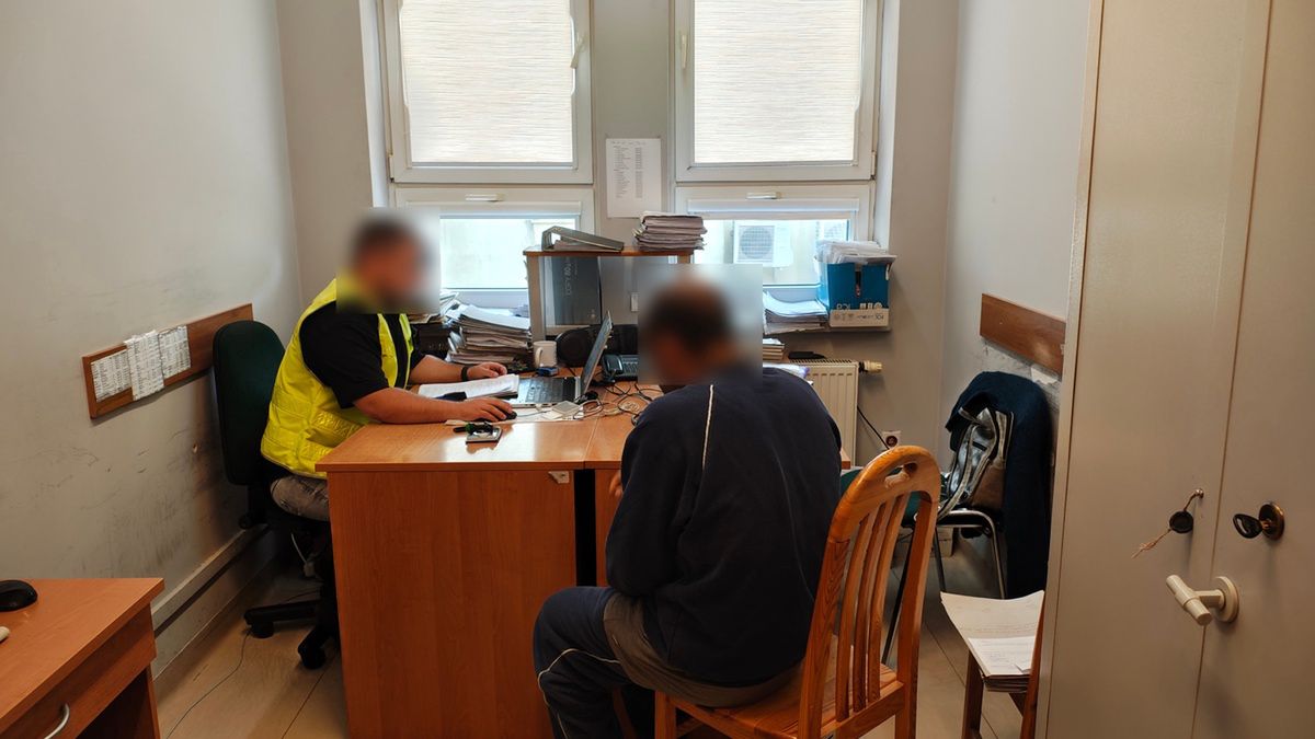 Nielegalny imigrant szedł pieszo po S8