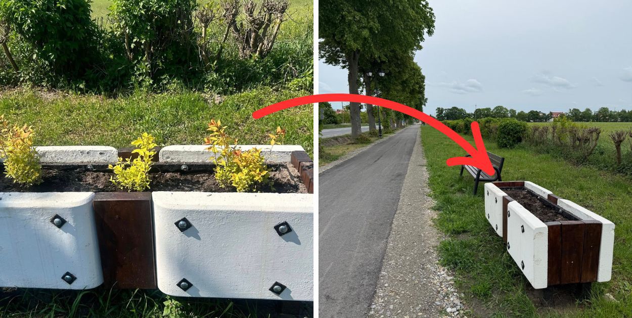 Posadzili kwiaty i krzewy - po trzech godzinach zostały skradzione