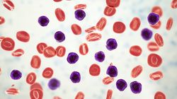 Apoptoza - zaprogramowana śmierć komórki