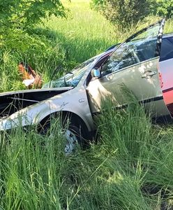 Zgorzelec. 3-letnie dziecko zginęło w wypadku. Policja poszukuje świadków