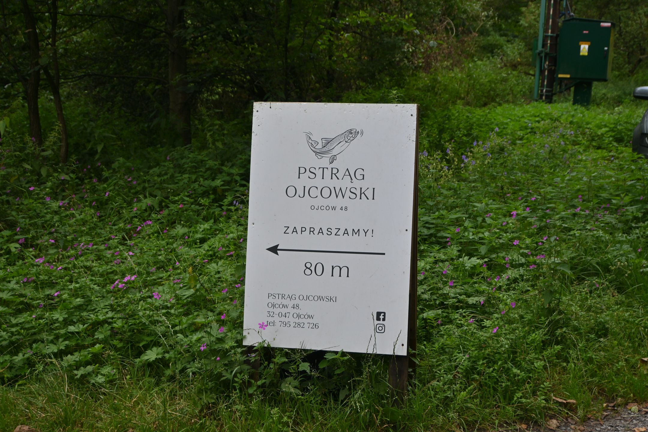 Pstrąg Ojcowski to symbol parku narodowego