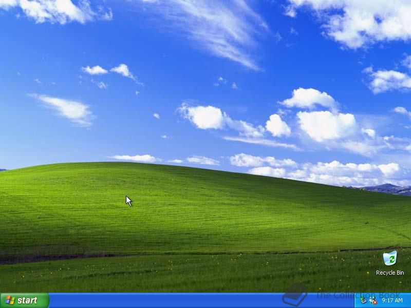 Windows XP
