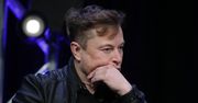 Elon Musk znowu zatrząsł rynkiem kryptowalut. Wszystko za sprawą szczeniaka