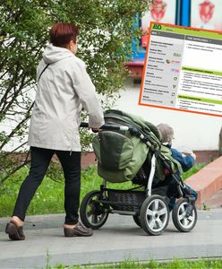 "Babciowe" w kilka minut. Tak złożysz wniosek online krok po kroku