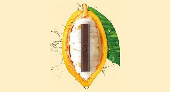 Nestlé zaprezentowało "ekoczekoladę" bez cukru i włącznie z owocu kakaowca