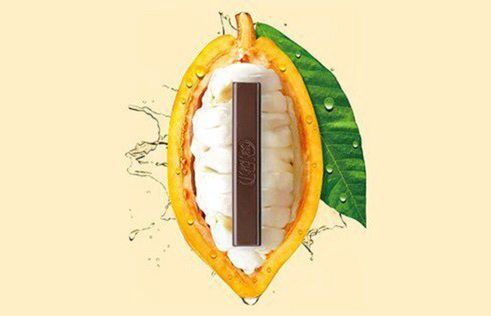 Nestlé zaprezentowało "ekoczekoladę" bez cukru i włącznie z owocu kakaowca