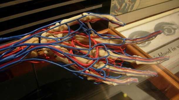 Identyfikacji pacjentów w szpitalach rodem z przyszłości 1