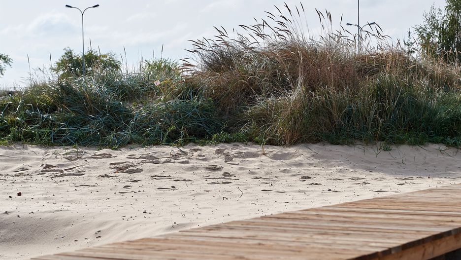 Makabra na plaży. Mężczyzna stracił dłoń