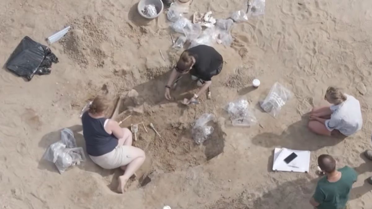 Zdjęcie poglądowe; odkrycie archeologów w Orłowie