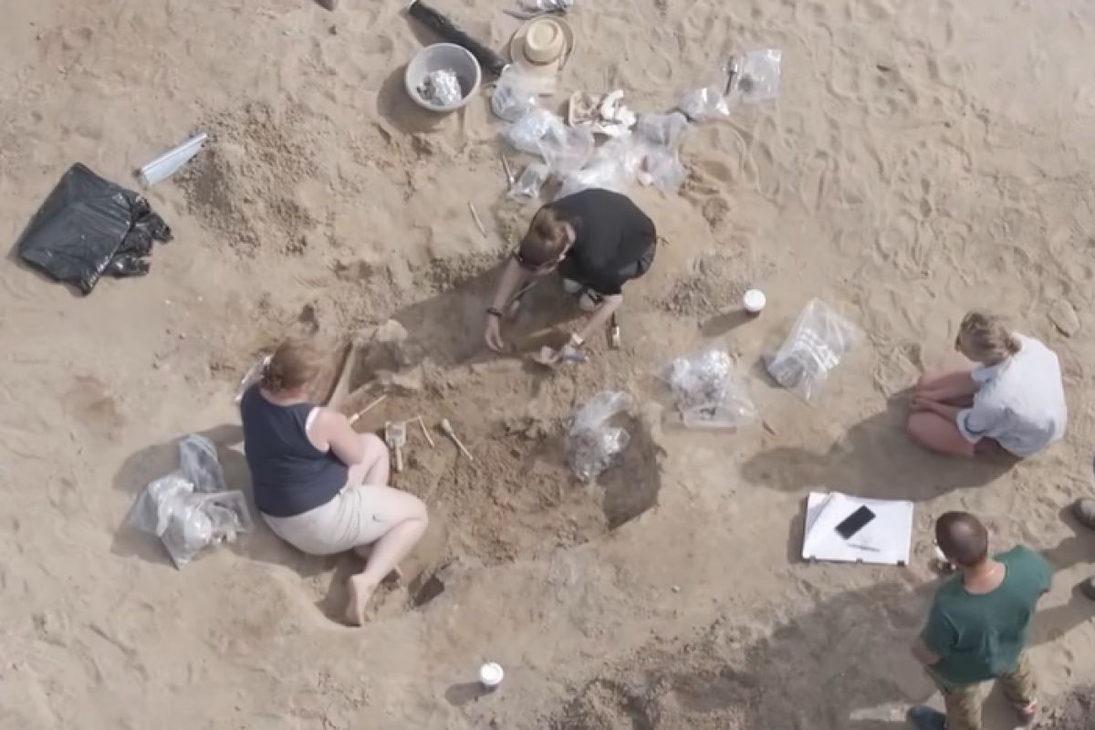 Sensacyjne odkrycie pod Inowrocławiem. Pochowano tu wojowników