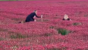 Skandaliczne sceny w Tatrach. "Ludzi odkorowało zdrowo"