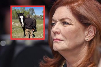 Katarzyna Dowbor pokazała swój ogród. To efekt aukcji WOŚP