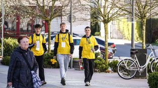 Żółte żonkile i wielkie serca. Tak wyglądały Pola Nadziei w Szczecinku