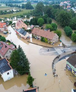 Ogromne straty na polach. "Naprawdę płakać się chce"