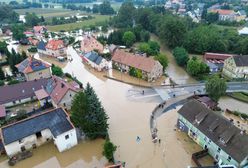 Ogromne straty na polach. "Naprawdę płakać się chce"