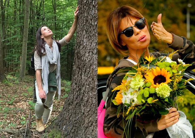 Górniak do Rusin o wycince drzew: "Kochanie, Dziękuję Ci za Twoją wrażliwość"