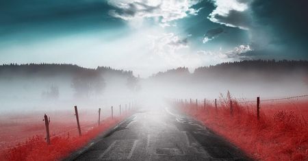 IR Chrome to filtr, który odda estetykę Kodaka Aerochrome na cyfrze