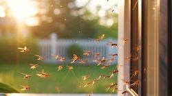 "Pierwotny mechanizm nadal działa". Entomolog tłumaczy lęk przed owadami