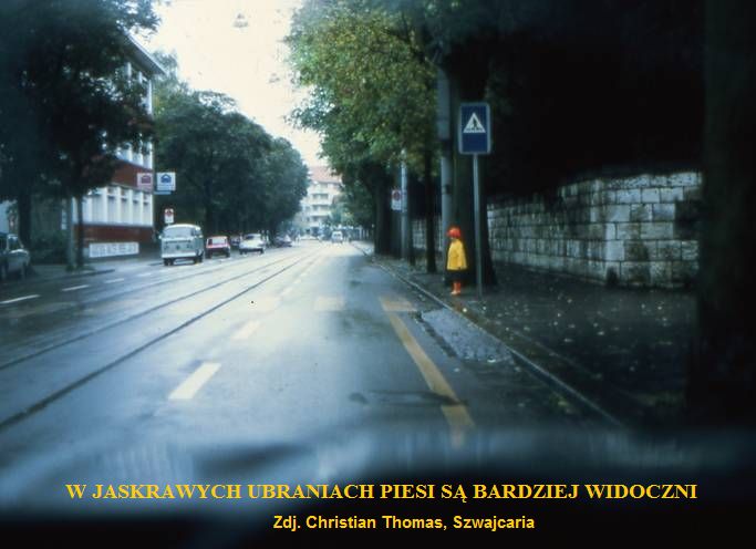 Zdjęcie ilustracyjne do artykułu