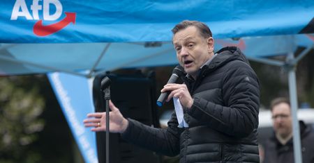 Nepotyzm w AfD. Wiceszef partii przyznaje: "Przypadków jest więcej"