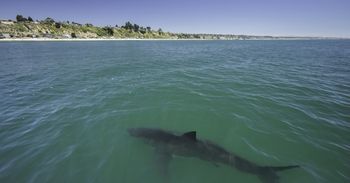 7 najniebezpieczniejszych plaż na świecie. Ataki rekinów i promieniowanie to dopiero początek