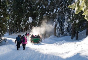 Nowa trasa dla konnych zaprzęgów w Tatrach. Tylko na zapisy