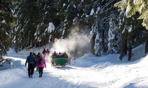 Nowa trasa dla konnych zaprzęgów w Tatrach. Tylko na zapisy