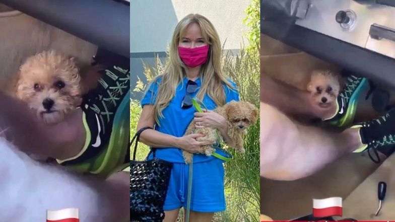 Joanna Przetakiewicz i Rinke Rooyens prowadzą auto z psem między nogami